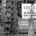 Dachau-Photos-006