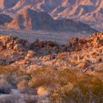 Georgies-Desert-Training-Center-039