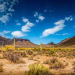 Georgies-Desert-Training-Center-046