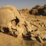 Georgies-Desert-Training-Center-059