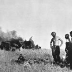 American soldiers looking at a dead German pilot and his wrecked plane near Gela, Sicily. (12 Jul 43)