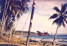 27th Infantry Regiment (25-ID) Guadalcanal January 1943