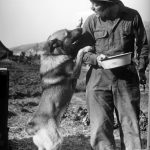 US and Pets – WW-2 (EUCMH) – 2021-013