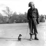 US and Pets – WW-2 (EUCMH) – 2021-028