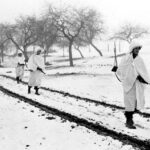 Illustration-Battle of the Bulge – 2023-001