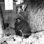 Illustration-Battle of the Bulge – 2023-017
