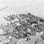 Canadian Army (EUCMH) 2022-018