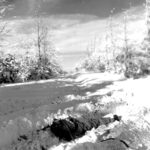 Your only and own choice, being captured or killed January 1945