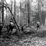 110th Infantry Regiment, 28th Infantry Division moves through Vossenack, Germany