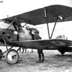 Captured Albatros D.V (serial D.1162-17) with British roundels
