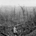 Les Eparges – le Ravin de la Mort – (Archives Departementales De La Meuse)