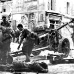 Operation Dragoon (pictured in Toulon) took place a matter of weeks after the crucial Normandy Landings – and led to the liberation of southern France and wide-scale Nazi retreat