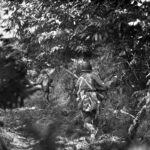30-ID at Hill 314 August 8 1944