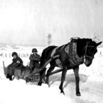 Evacuation with Horse and sled
