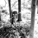 Rest place of a German Fallschirmjaeger buried there by his comarades