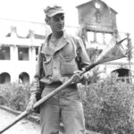 Japanese Lunge Mine