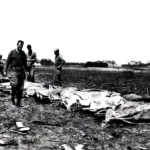 US Casualties in Okinawa 1945