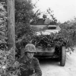 German troops in France August 1944