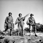 nort-africa-members