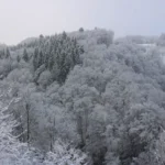 Ardennes 2025 (Belgium)