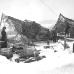 Artillery for Support – 8 inch caliber howitzer (204.3MM) Belgium January 1945