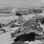Omaha Beach Normandy – Casualties everywhere on D-Day