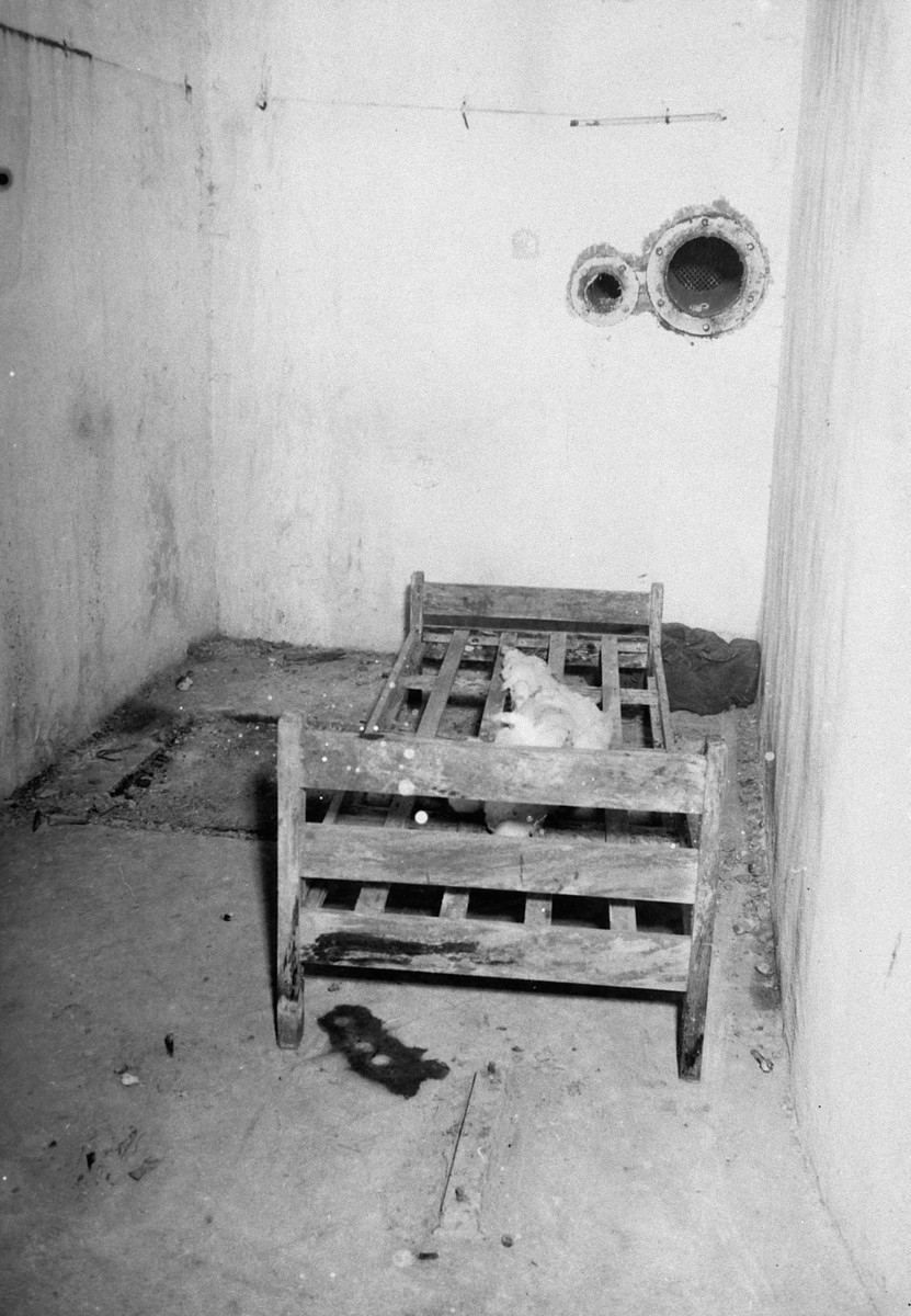 Fort Breendonk - Isolation cell Fort Breendonk - Isolation cell