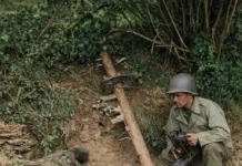 Photo Archive HD – France 1944 (Liberation) (Part 2)