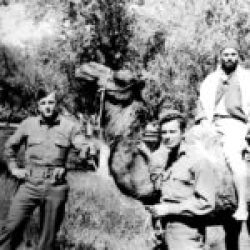 1st Rangers-Battalion-North-Africa