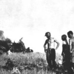 2-AD-EUCMH-Operation Husky-Sicily-1943-US Soldiers looking at a dead German pilot laying beside his airplaine wreck, Sicily July 1943