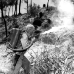 A U.S. Marine training a flamethrower on a Japanese position on Okinawa, 1945.