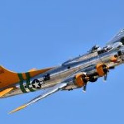 AAF-B-17-01