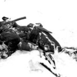 An American killed soldier