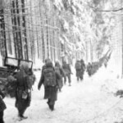 Battle-of-the-Bulge (Illustration)