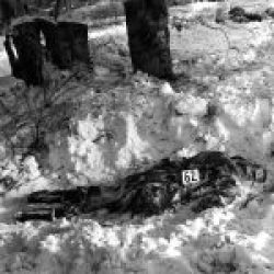 Baugnez-12-44-01