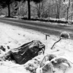 Casualty