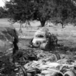 Falaise Gap – 004