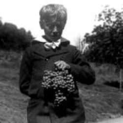 George S Patton jr holding vineyard grapes circa 1980. (Source Huntington Library, Art Collection, and Botanical Gardens)
