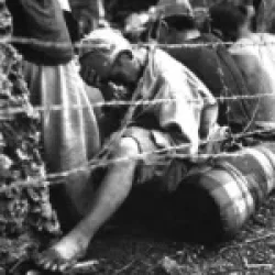 Japanese POWs in the Prisonners Cage Okinawa June 1945