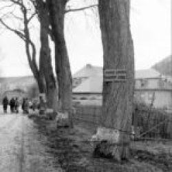 Most of the pictures appear to have been taken in near Malmedy and Spa in Belgium 009