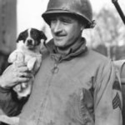 OOB-4th Armored Division (EUCMH) – 016