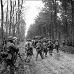 Operation-Veritable-2nd-seaforth-in-reichswald