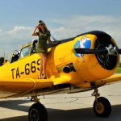 Pinup-AAF-009