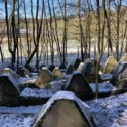 The Siegfried Line  photo done by Mo @ https://hellograciemo.com.