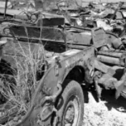 US Army Jeep Graveyard on Okinawa (Opened in 1945) Photo 1949