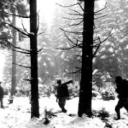 US Army in the Ardennes – Belgium – January 1945