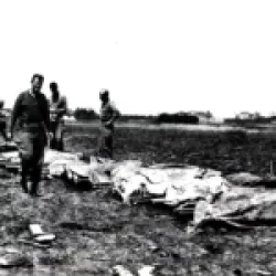 US Casualties in Okinawa 1945