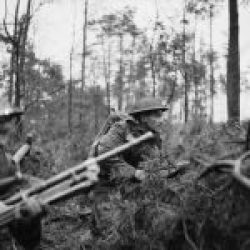 W-Reichswald-1