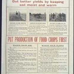 WW-I-Posters0105