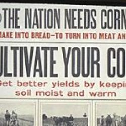 WW-I-Posters0105-934×580